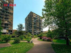 Prodej bytu 1+kk, Praha - Žižkov, Malešická, 59 m2
