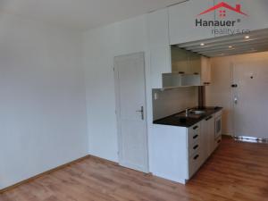 Pronájem bytu 1+1, Ústí nad Labem - Severní Terasa, Kmochova, 33 m2