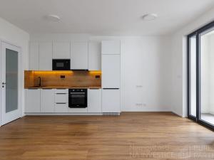 Pronájem bytu 1+kk, Praha - Nusle, Závišova, 41 m2