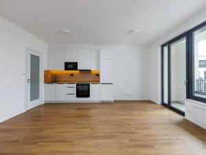 Pronájem bytu 1+kk, Praha - Nusle, Závišova, 41 m2