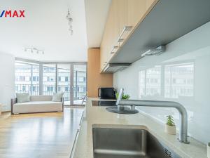 Prodej bytu 1+kk, Praha - Žižkov, Pitterova, 43 m2