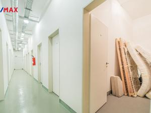 Prodej bytu 1+kk, Praha - Žižkov, Pitterova, 43 m2