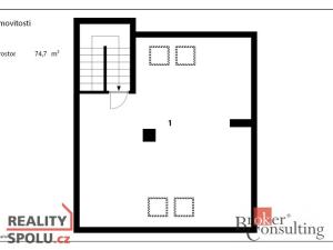 Prodej rodinného domu, Louny, Mánesova, 120 m2
