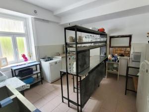 Prodej ubytování, Jetřichovice, 640 m2