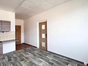 Pronájem bytu 1+1, Chomutov, Zahradní, 35 m2