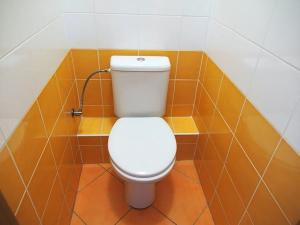 Pronájem bytu 2+kk, Praha - Vinohrady, náměstí Jiřího z Lobkovic, 52 m2