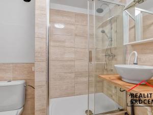 Pronájem bytu 1+1, Frýdek-Místek, Malý Koloredov, 35 m2