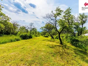 Prodej komerčního pozemku, Židlochovice, 3876 m2