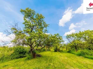 Prodej komerčního pozemku, Židlochovice, 3876 m2