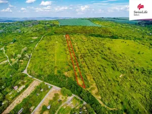 Prodej komerčního pozemku, Židlochovice, 3876 m2