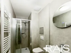 Pronájem bytu 3+kk, Brno, Vranovská, 47 m2