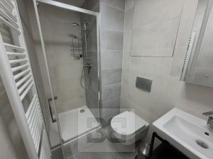 Pronájem bytu 1+kk, Praha - Žižkov, Hartigova, 40 m2