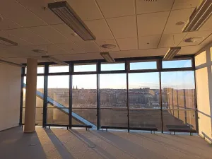 Pronájem kanceláře, Praha - Holešovice, Argentinská, 597 m2