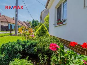 Prodej rodinného domu, Cetkovice, Hliníky, 128 m2
