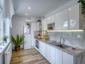 Pronájem bytu 2+kk, Chomutov, Grégrova, 49 m2