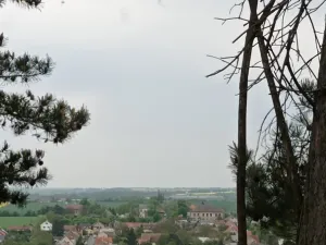 Prodej chaty, Brandýsek, 25 m2