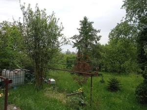 Prodej chaty, Brandýsek, 25 m2