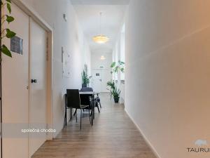 Pronájem kanceláře, Plzeň, Kopeckého sady, 22 m2