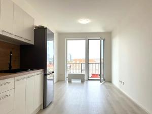 Pronájem bytu 1+kk, Brno, Dornych, 36 m2