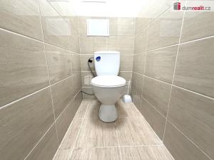 Pronájem bytu 2+1, Bílina - Pražské Předměstí, Fügnerova, 50 m2