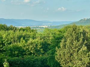 Prodej bytu 3+1, Teplice - Nová Ves, Habrová, 74 m2