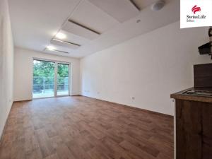 Pronájem bytu 1+kk, Třešť, 33 m2