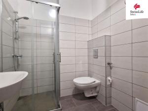 Pronájem bytu 1+kk, Třešť, 33 m2