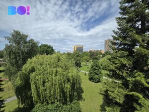 Prodej bytu 3+1, Havířov, Karolíny Světlé, 62 m2