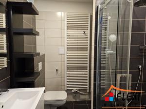 Pronájem bytu 1+kk, Frýdek-Místek, J. Opletala, 30 m2