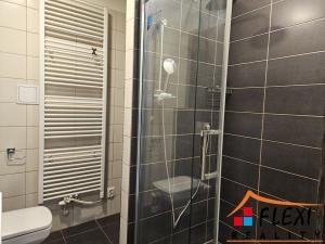 Pronájem bytu 1+kk, Frýdek-Místek, J. Opletala, 30 m2
