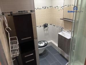 Pronájem bytu 1+1, Cheb, Mírová, 35 m2