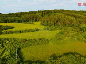 Prodej pozemku pro bydlení, Radnice, 1091 m2