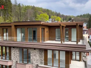 Prodej bytu 5+kk, Karlovy Vary, Tyršova, 296 m2