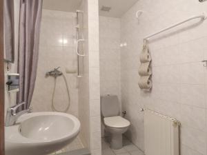 Prodej ubytování, Kašperské Hory - Červená, 550 m2