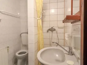Prodej ubytování, Kašperské Hory - Červená, 550 m2