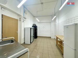 Pronájem obchodního prostoru, Teplice, Duchcovská, 75 m2