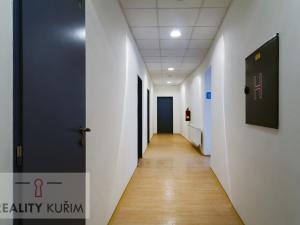 Pronájem bytu 1+kk, Brno, Cejl, 19 m2
