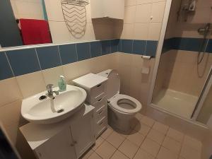 Pronájem bytu 1+kk, Brno, Cejl, 19 m2