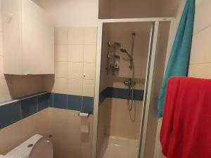 Pronájem bytu 1+kk, Brno, Cejl, 19 m2
