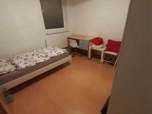 Pronájem bytu 1+kk, Brno, Cejl, 19 m2