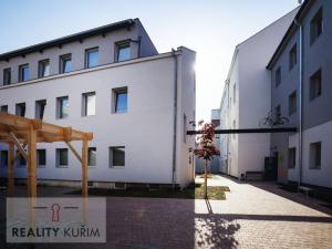 Pronájem bytu 1+kk, Brno, Cejl, 19 m2