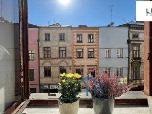 Pronájem bytu 2+1, Olomouc, Denisova, 44 m2