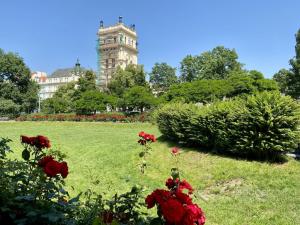 Pronájem bytu 1+kk, Praha - Vinohrady, Korunní, 27 m2