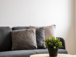 Pronájem bytu 2+kk, Žacléř, Rýchorské náměstí, 53 m2