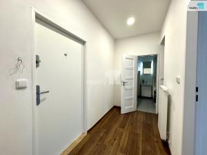 Pronájem bytu 2+kk, Praha - Nusle, Svatoplukova, 43 m2