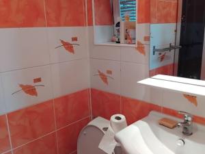 Pronájem bytu 1+kk, Dolní Lhota, 18 m2