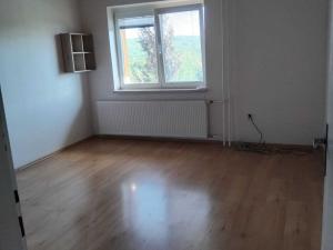 Pronájem bytu 1+kk, Dolní Lhota, 18 m2