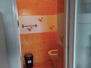 Pronájem bytu 1+kk, Dolní Lhota, 18 m2