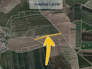 Prodej pole, Velvary - Velká Bučina, 10132 m2