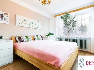 Pronájem bytu 3+1, Slaný, Dvořákova, 70 m2